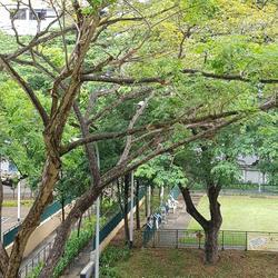 Blk 107 Bedok North Road (Bedok), HDB 3 Rooms #155521722